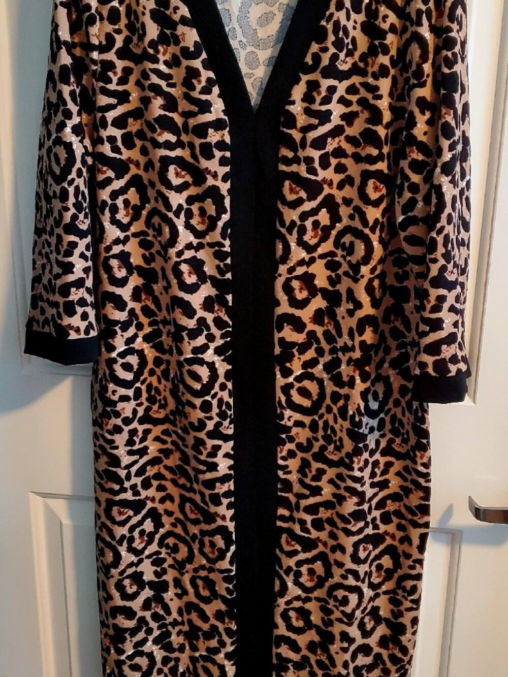 My Modest Lil Leopard! - Picture 2 of 4
